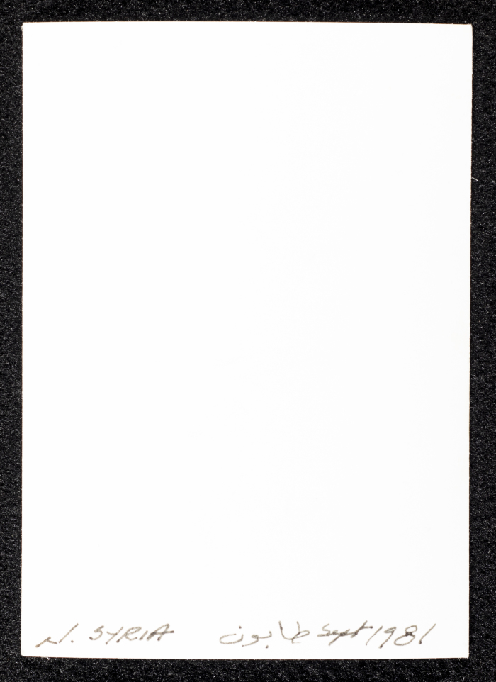 صورة لبيوت طنيَّة، شماليّ سوريا، 1981
