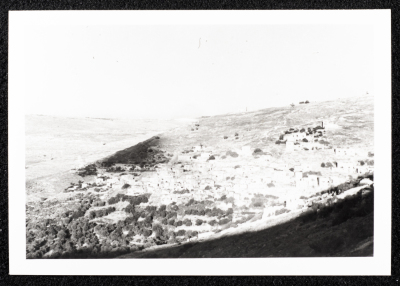 A Glimpse of the Village of Dayr Ghassana