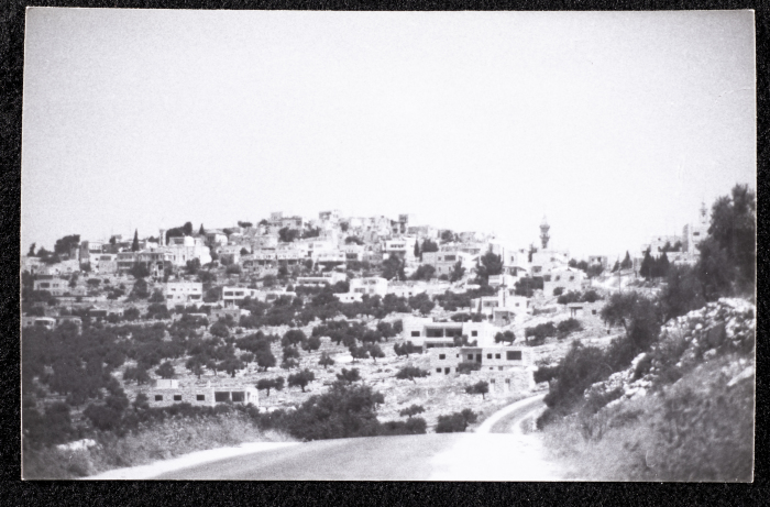 A Glimpse of the Village of Dayr Ghassana
