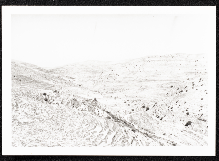 صورة لقصر صالح البرغوثي في قرية دير غسانة