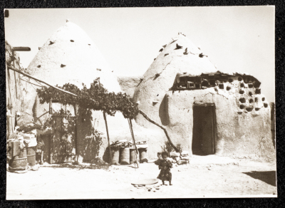 A Photograph of Mud Houses in Southern Syria, 1981
