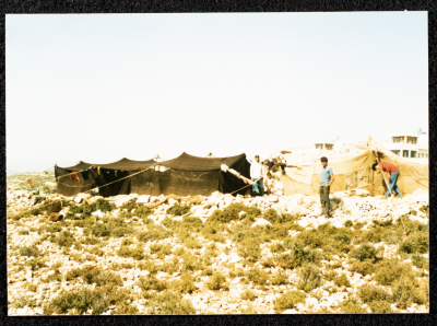 A Photograph Capturing the Bedouin Life in Gaza Strip 