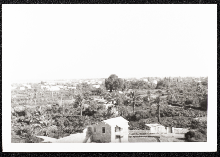 al-Alamy's House in Jericho