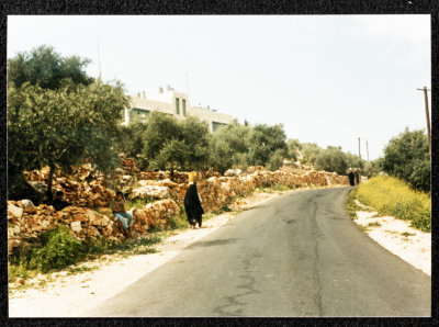 The Main Road to Deir Ghassaneh Village