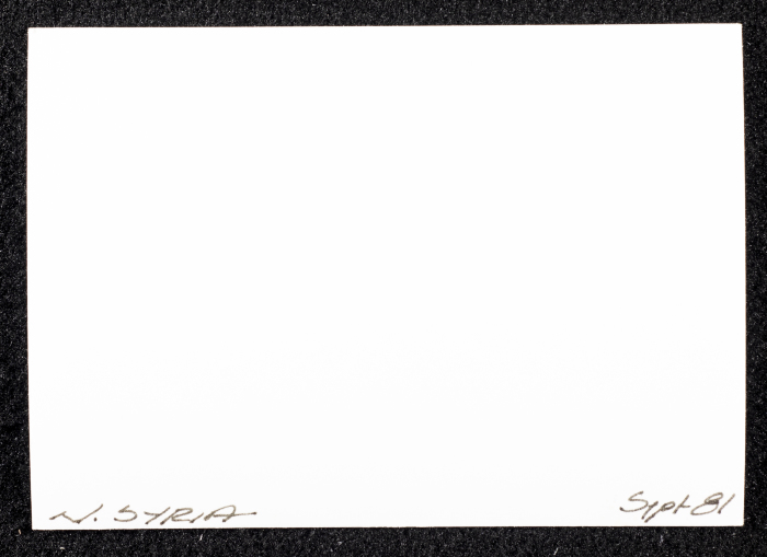 صورة لبيوت طنيَّة، شماليّ سوريا، 1981
