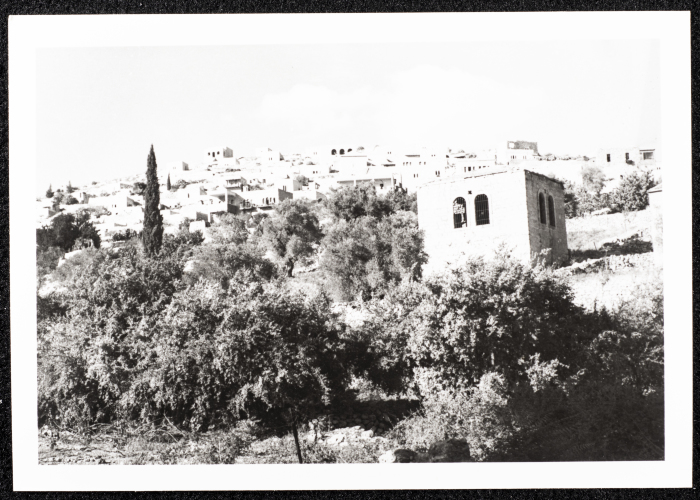 A Glimpse of the Village of Dayr Ghassana