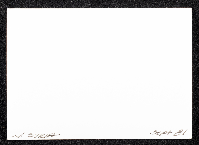 صورة لبيوت طنيَّة، شماليّ سوريا، 1981
