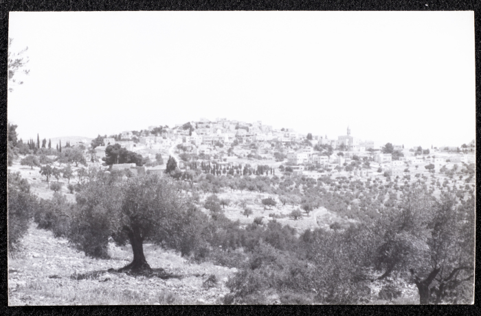 A Glimpse of the Village of Dayr Ghassana