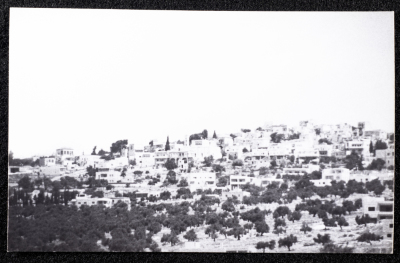 A Glimpse of the Village of Dayr Ghassana