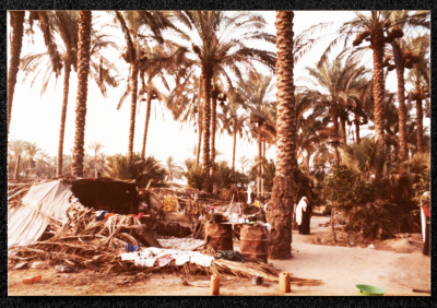 A Photograph Capturing the Bedouin Life in Gaza Strip 