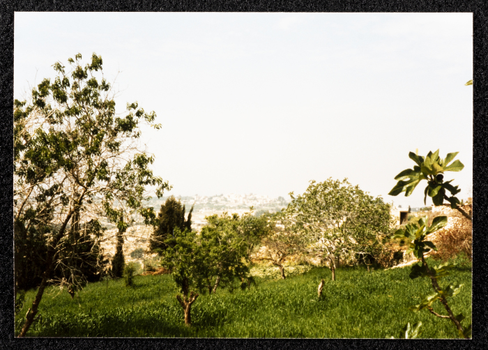 مشهد عام من قرية دير غسانة 