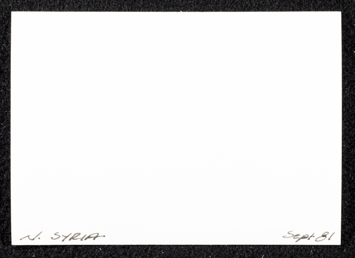 A Photograph of Mud Houses in Southern Syria, 1981
