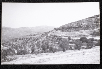 A Glimpse of the Village of Dayr Ghassana