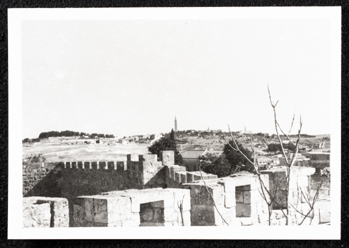 جبل الزيتون في القدس