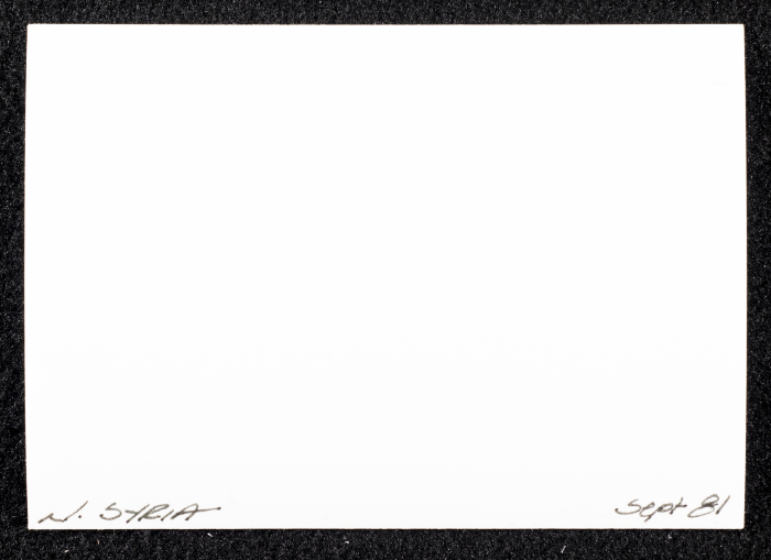 صورة لبيوت طنيَّة، شماليّ سوريا، 1981
