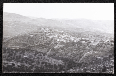 A Glimpse of the Village of Dayr Ghassana
