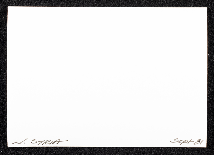 صورة لبيوت طنيَّة، شماليّ سوريا، 1981
