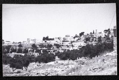 A Glimpse of the Village of Dayr Ghassana