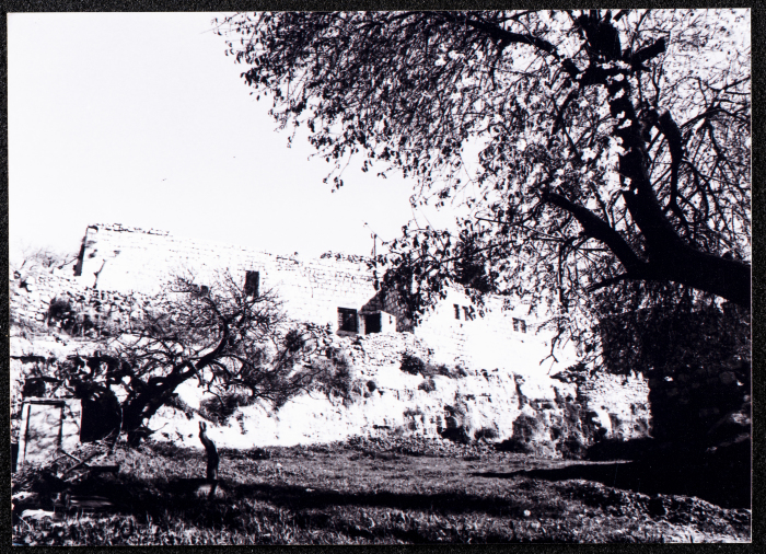 A Glimpse of the Village of Dayr Ghassana