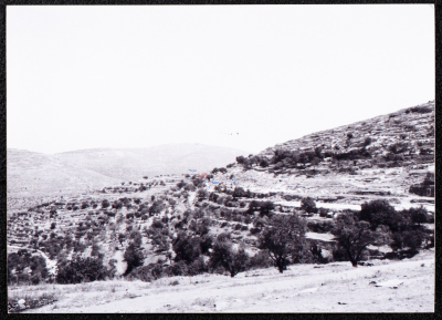 "A Landscape Photo of Deir Ghassana"
