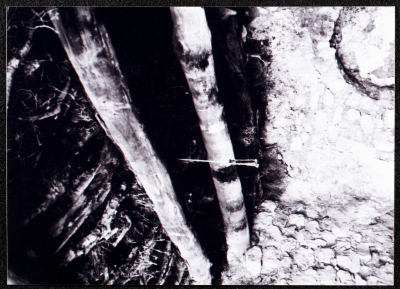 A Glimpse of the Village of Dayr Ghassana