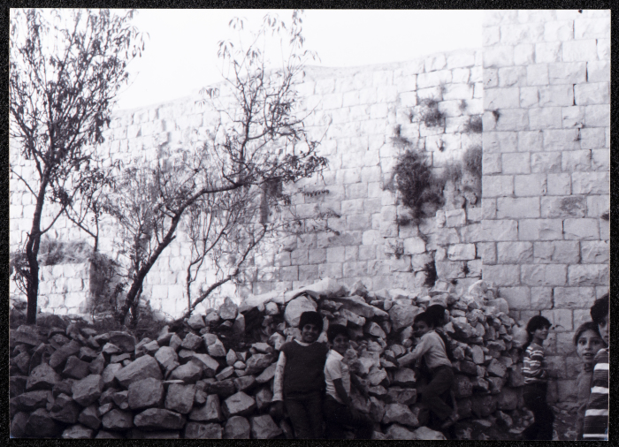 صورة لقصر صالح البرغوثي في قرية دير غسانة