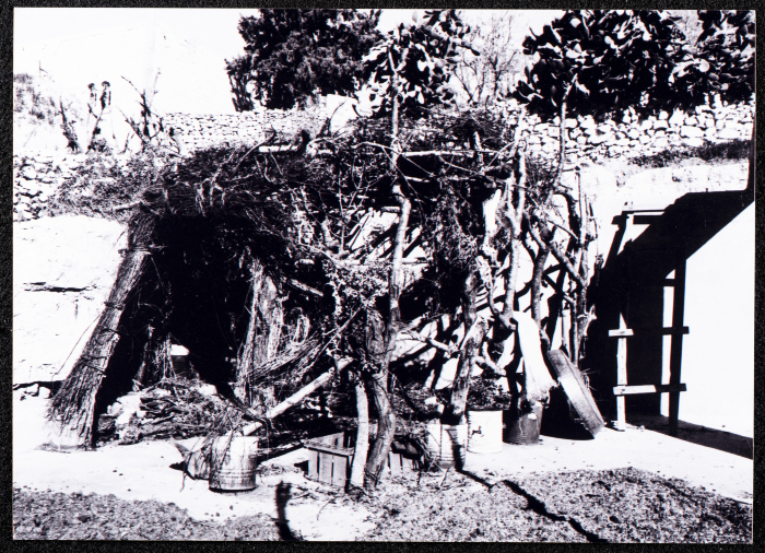 A Glimpse of the Village of Dayr Ghassana