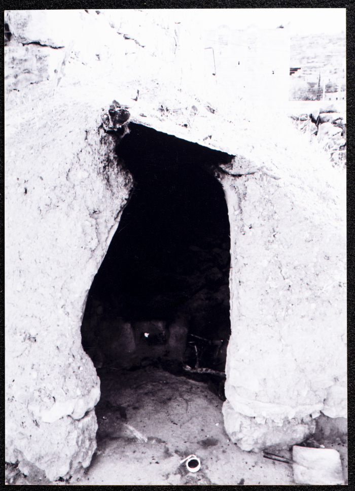 A Glimpse of the Village of Dayr Ghassana