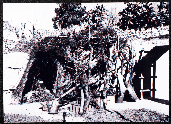 A Glimpse of the Village of Dayr Ghassana