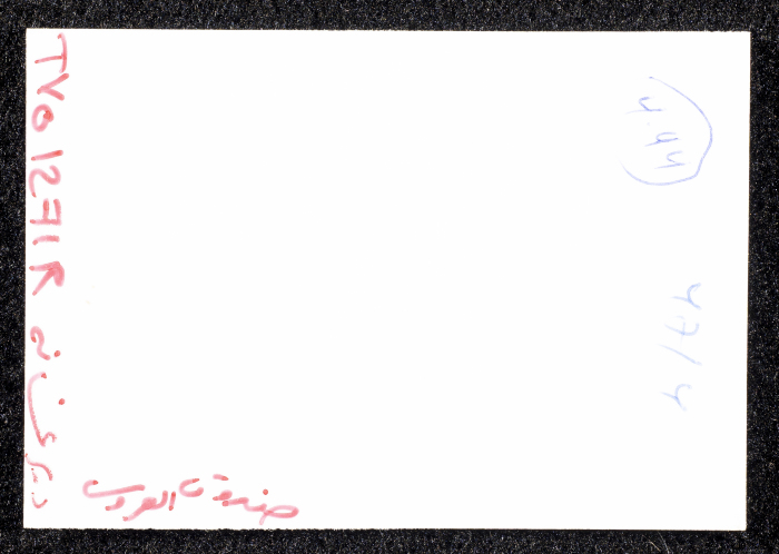 صورة لقصر صالح البرغوثي في قرية دير غسانة