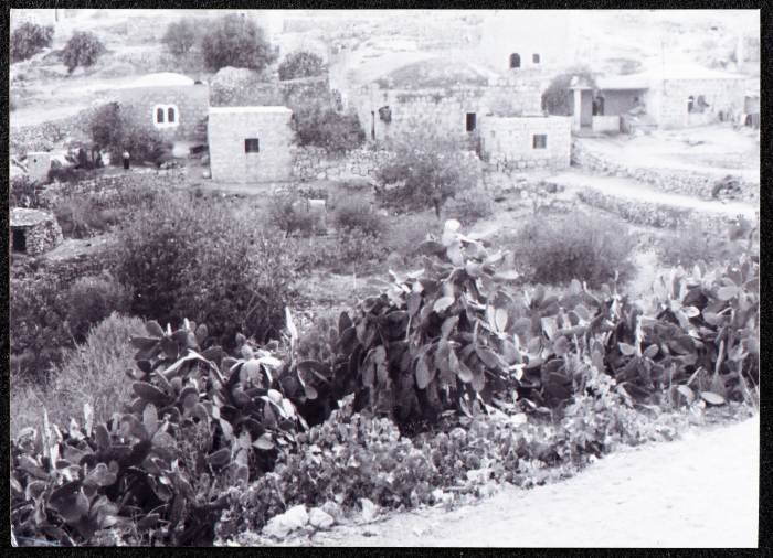 مشهد عام لبيوت قديمة في يطا الخليل