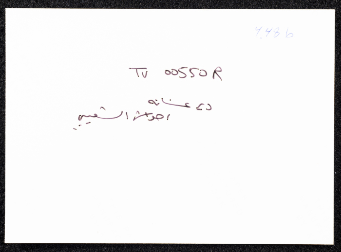 صورة لقصر صالح البرغوثي في قرية دير غسانة