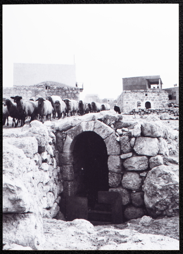 صورة لبيت حجر قديم في قرية البرج قضاء الخليل