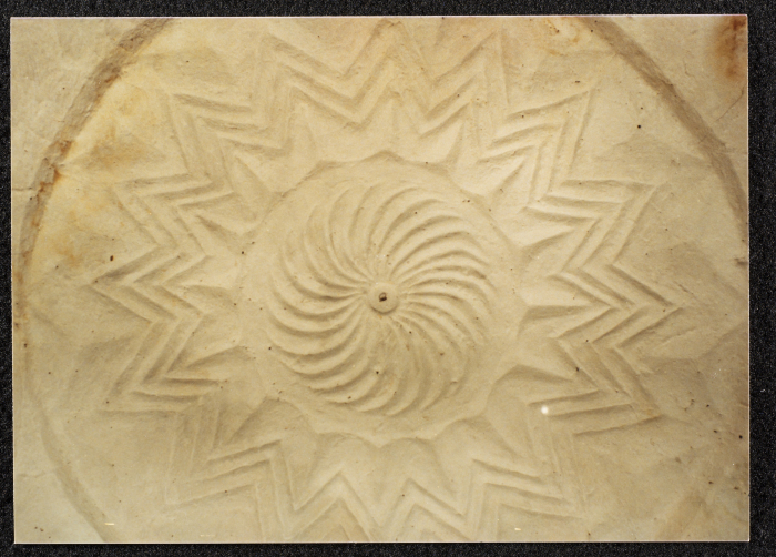 صورة لقصر صالح البرغوثي في قرية دير غسانة