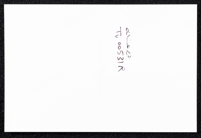 صورة لقصر صالح البرغوثي في قرية دير غسانة