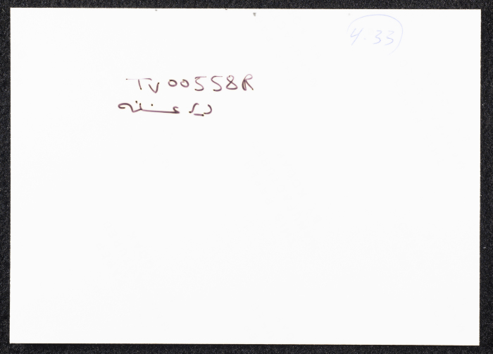 صورة لقصر صالح البرغوثي في قرية دير غسانة