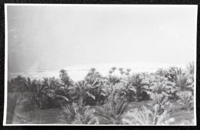 A Glimpse of the Village of Dayr Ghassana