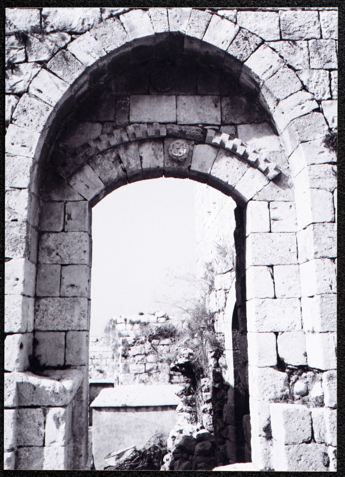 صورة لقصر صالح البرغوثي في قرية دير غسانة