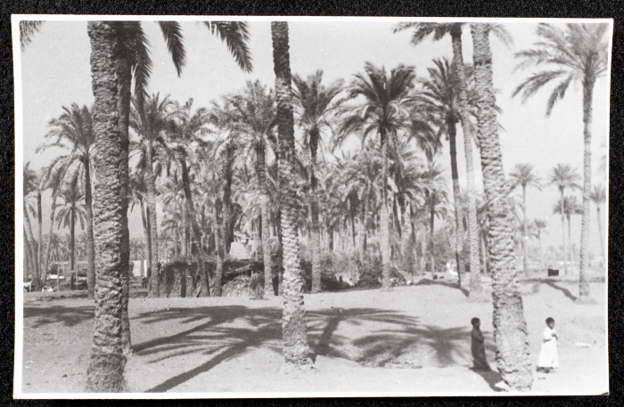 زيارة سعاد العامري لِـ مصر 