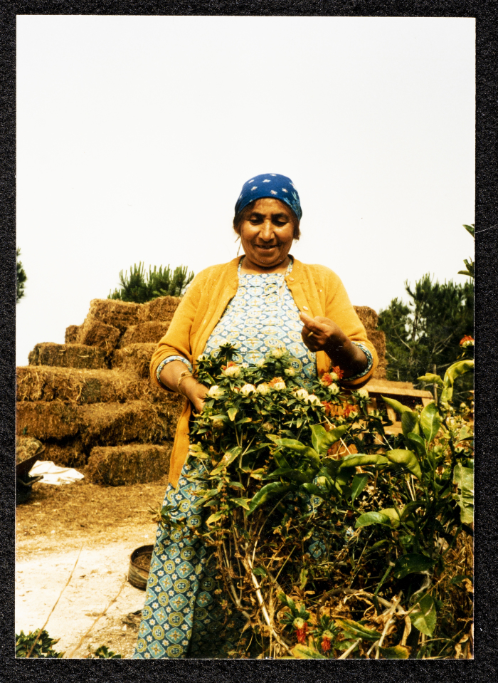 السيدة ام العبد من قرية دير السودان