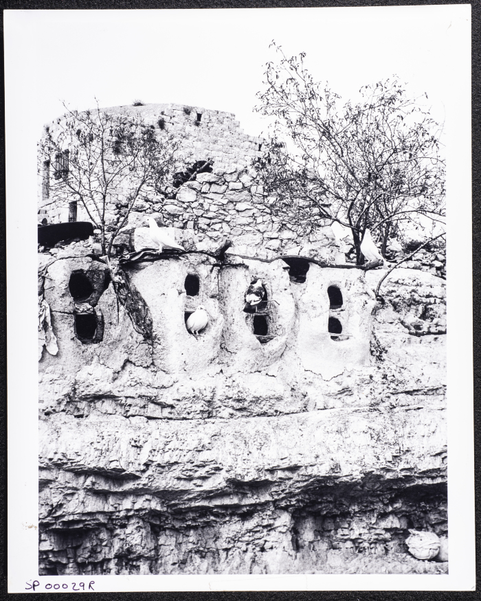 صورة من قصر الشيخ يوسف واكد الجيوسي في قرية كور
