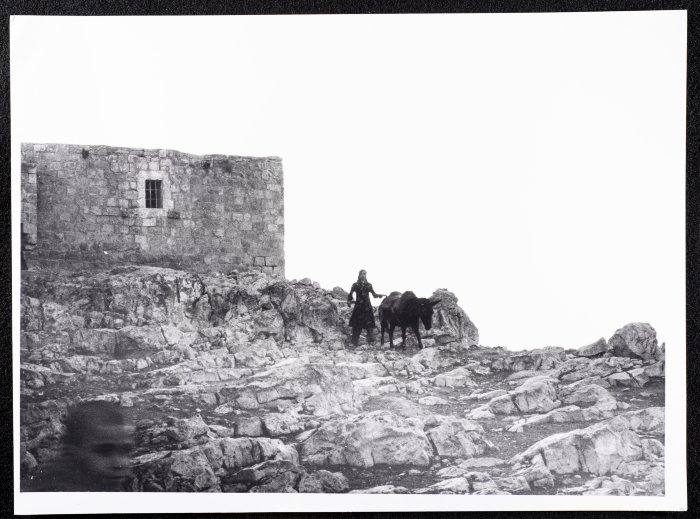 صور من قرية عراق بورين 
