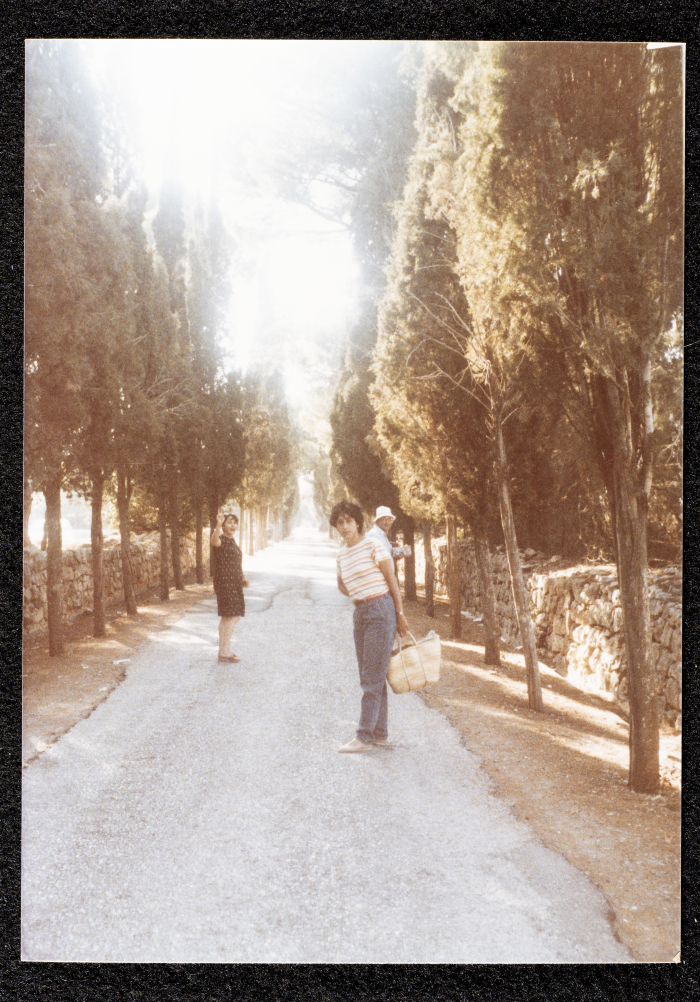 مشهد عام من قرية جيبيا 