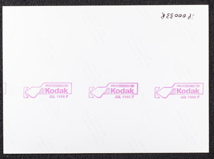 صورة لقصر صالح البرغوثي في قرية دير غسانة