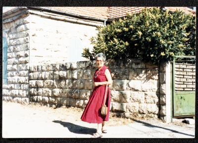 A Glimpse of the Village of Dayr Ghassana