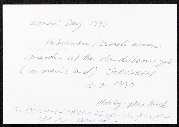 A Glimpse of the Village of Dayr Ghassana