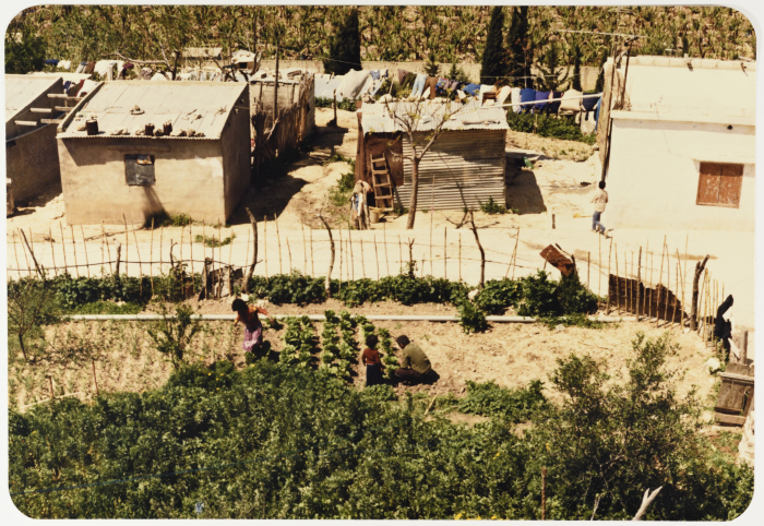 A Scene from Qasmieh Community