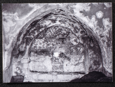 صورة لقصر صالح البرغوثي في قرية دير غسانة