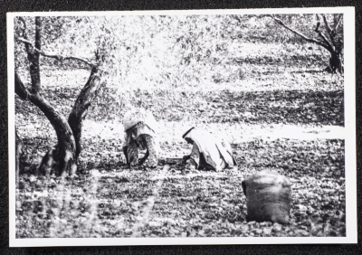 مشهد عام من قرية دورا الخليل 