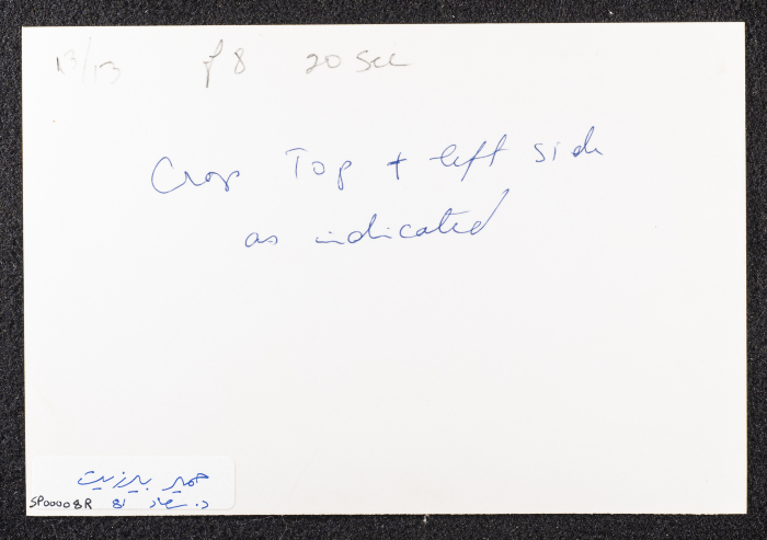 صورة لِـ حمير من قرية بيرزيت 